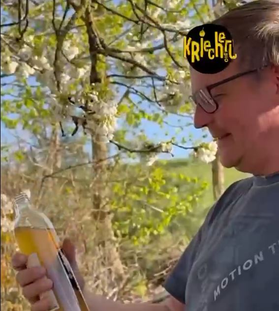 Video-Kriecherl-Limo-Verkostung-Neuninger