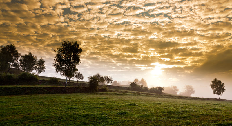 Vorschaubild: Kriecherlgarten und Landschaft