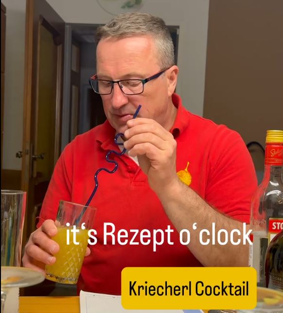 Rezept-Kriecherl-Cocktail-Wodka-Vodka-DIY-Teaser
