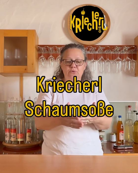 Rezept-Kriecherl-Schaum-Sosse-Sauce