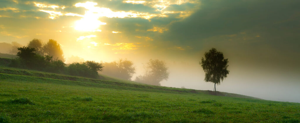 Waldviertel-Landschaft-Foto-Werner-Krug
